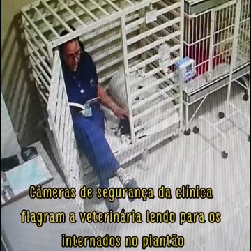 Mujer veterinaria lee cuentos a los perros