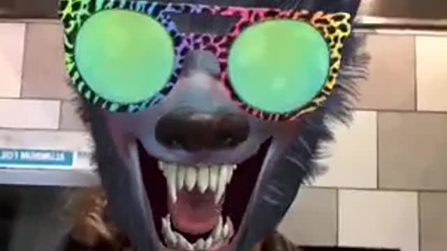Hi !