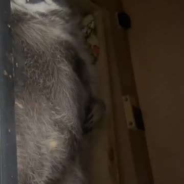 Work Christmas party aftermath 🤣