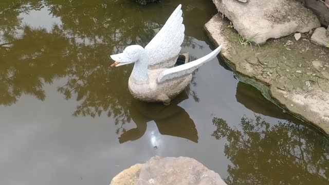 What's in this stone duck's mouth?