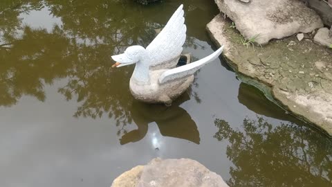 What's in this stone duck's mouth?