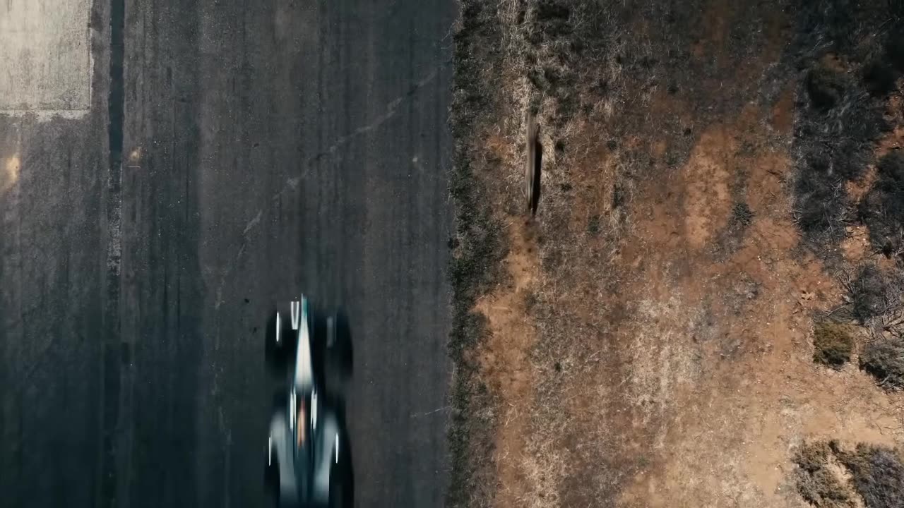Formula E vs cheetah 🔥🔥🐆