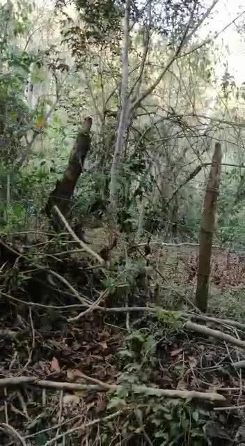 Colapsada la vía alterna Bucaramanga – San Gil tras lluvias