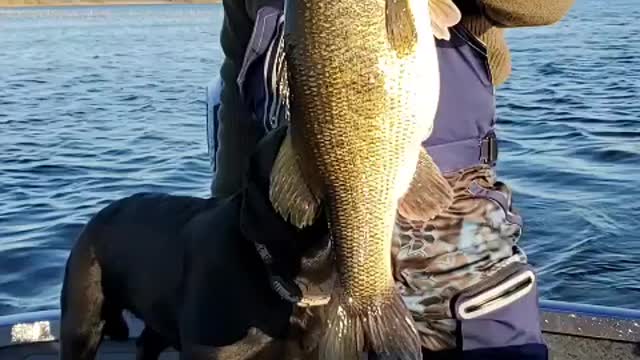 Brandon's Big Bass Catch, Texas Bass Tours