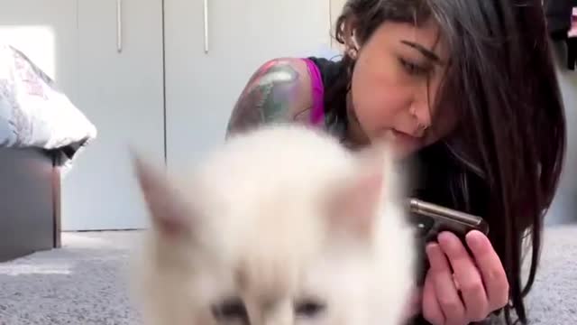 Cat Plays with girls vieal video