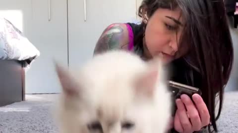 Cat Plays with girls vieal video