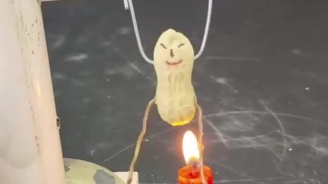 There are amazing video #funny