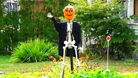 Halloween Decorations