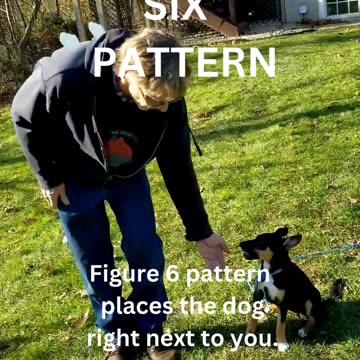 Luna and the back cue