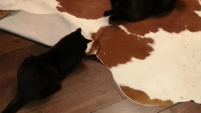 Don't touch it, I'll do it myself