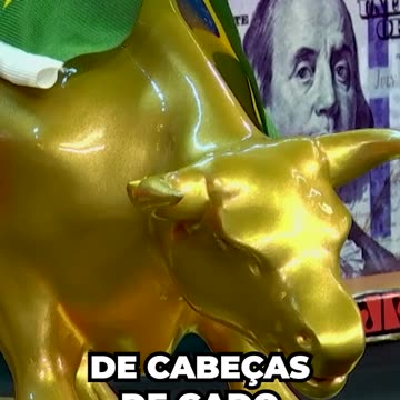 Touro de Ouro no agronegócio