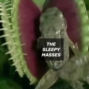 Just for Laughs: The sleepy masses vs the great reset.