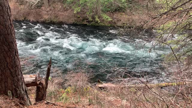 The Incredible East Metolius River Trail – Central Oregon