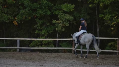 Back view of rider on a horse. Back view of a rider with a horse