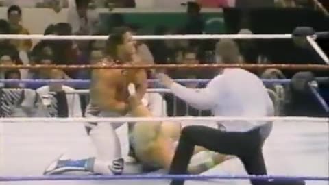 WWF Superstars of Wrestling Dec 22 1990