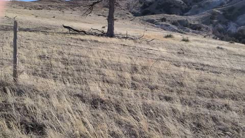 Oregon Pioneer Trail at Chimney Rock NE