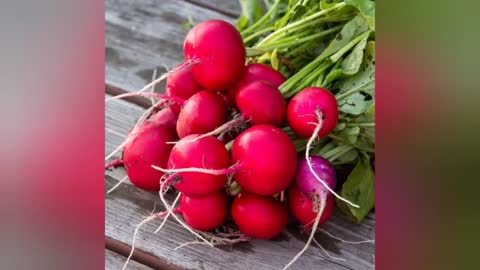 Radical Radishes...