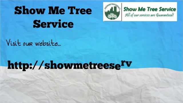 tree removal jacksonville