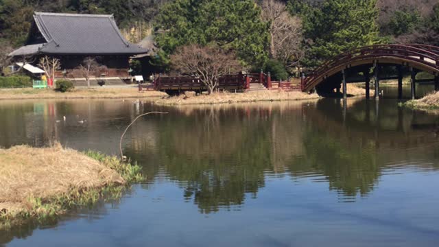 Yokohama City, Shomyoji