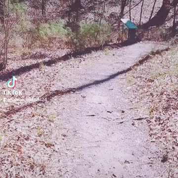 Walking The Trail Tiktok Video