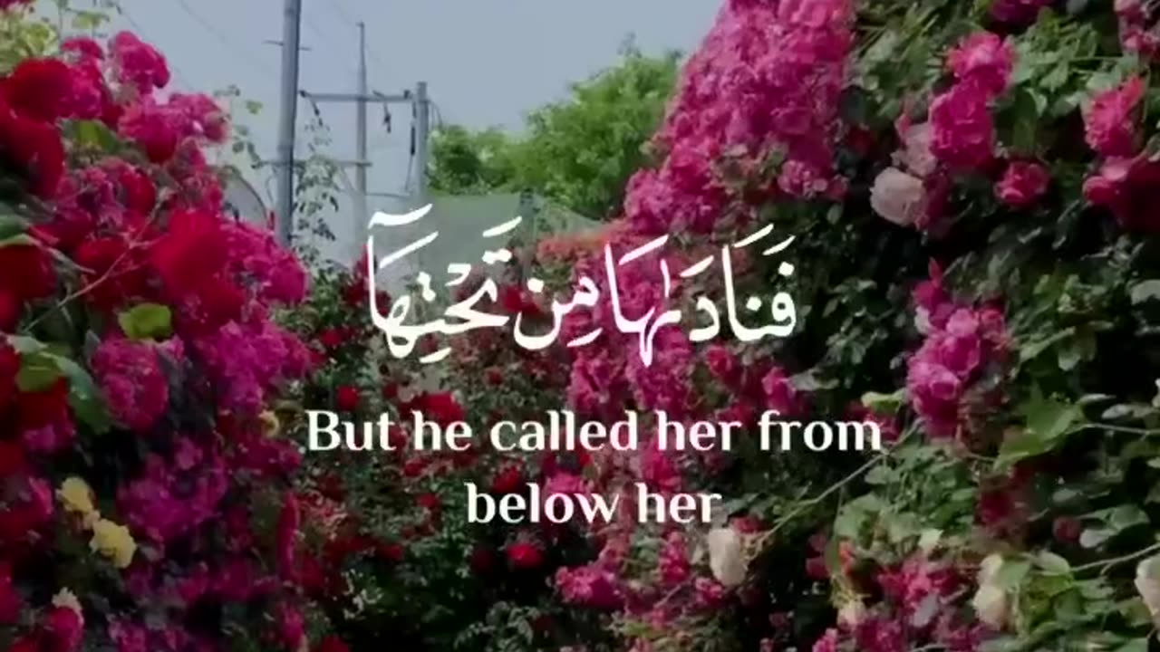 بلغوا عني ولو آية