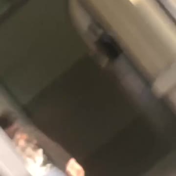 Bald man in shorts and back pack