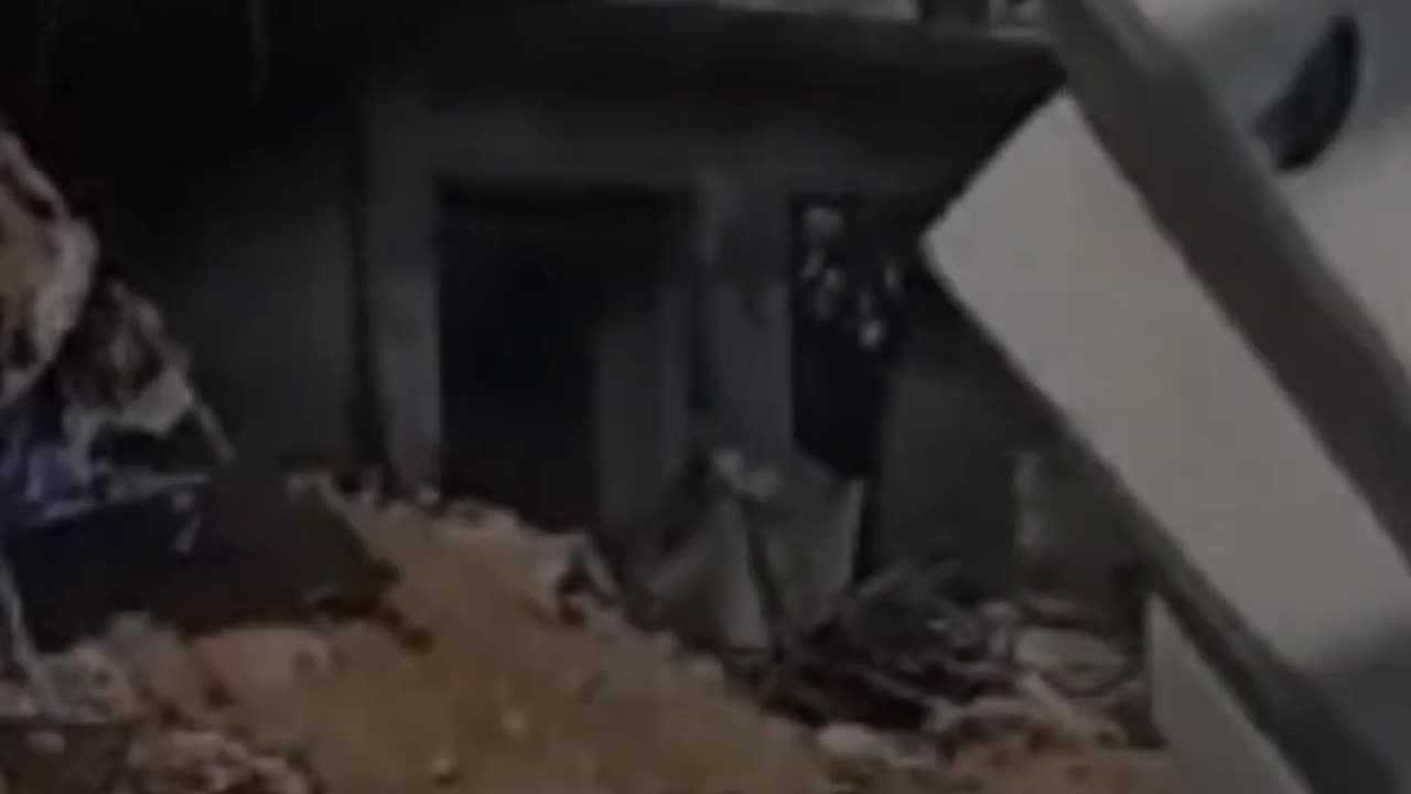 The moment Israeli forces killed two brothers in Gaza