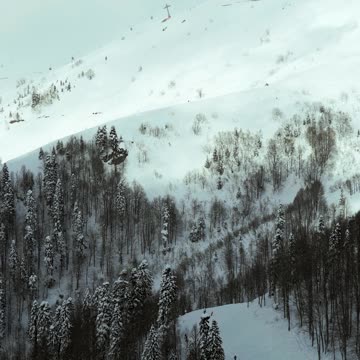 People doing Snowboarding