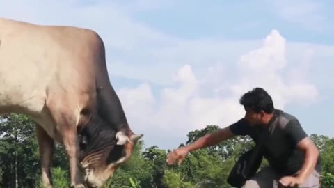 Funny comedy video in 2021 | Tiktok | Try not to laugh