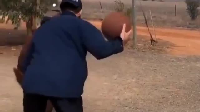 Chicago Bulls... The Farm Version!