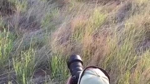Don't miss this video.. Animals lover