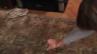 Dog scared of fidget spinner