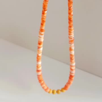 Natural turquoise and Orange spiny oyster bead with Bumble bee smooth beads gemstone necklace