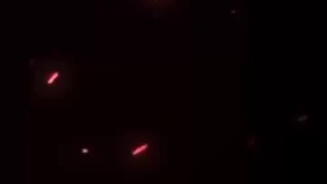 31st party video drinking video new year