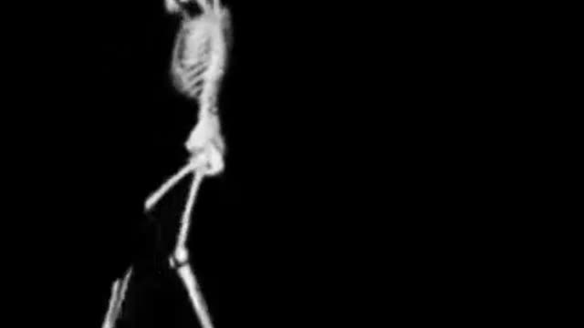 Dead dancer 😂🤣😂