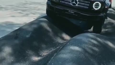 Car lover MERCEDES