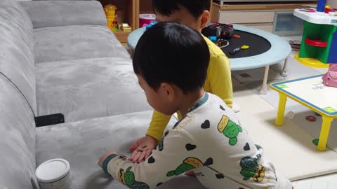 Twin brothers feeding hamsters