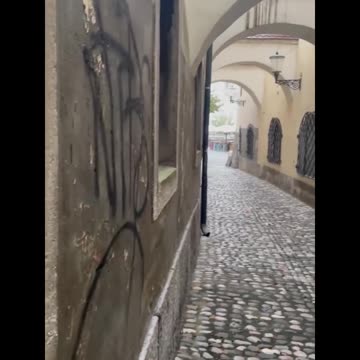 Freedom Cash Geocaching Paper Wallet - Silence