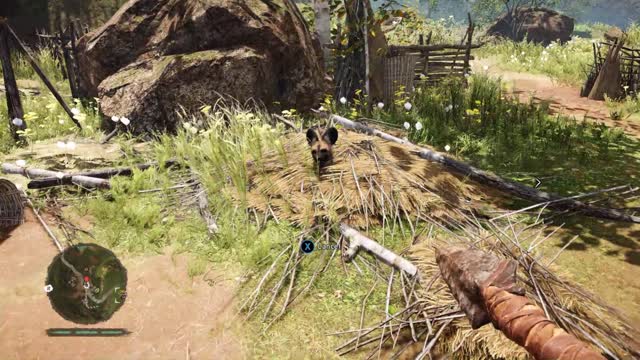 FAR CRY PRIMAL- Shenanigans and Glitches (Highlights)