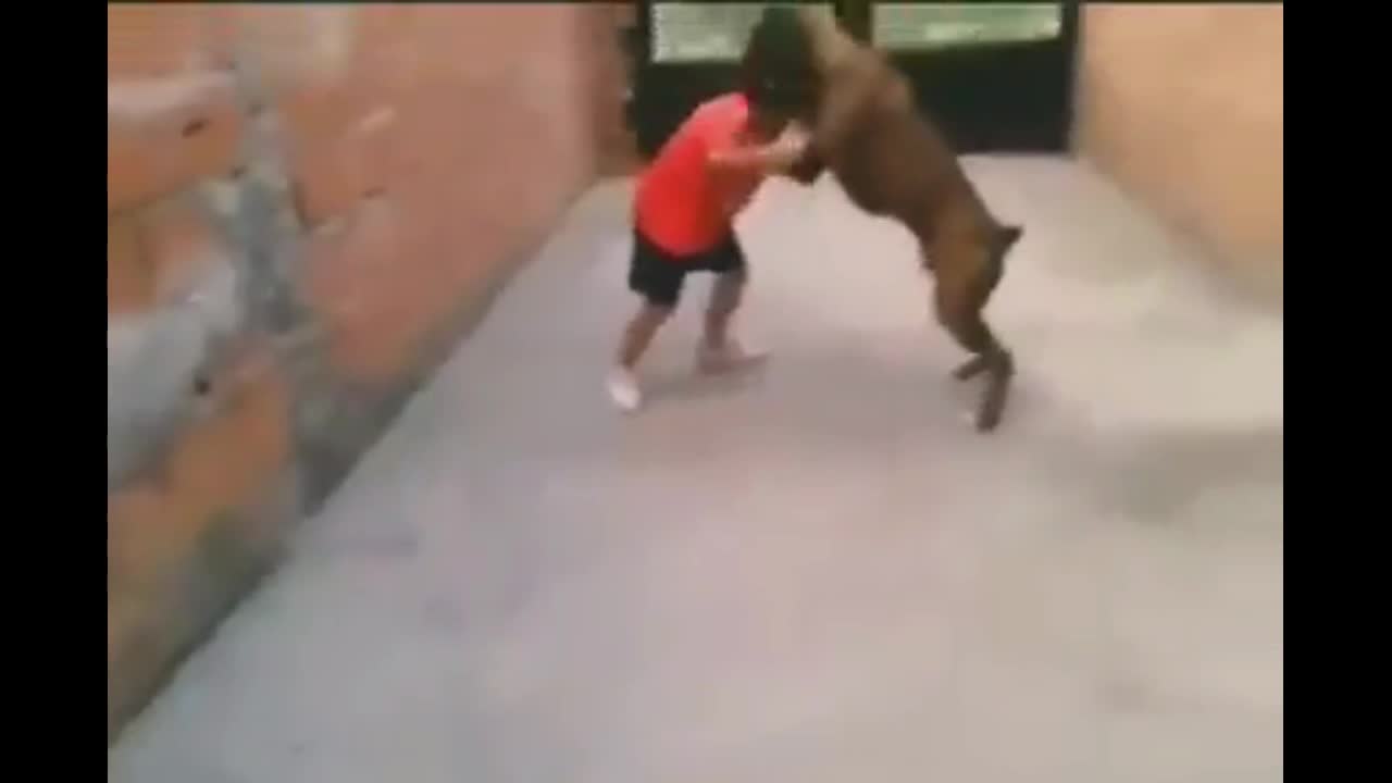 I drop my chicken prey on the floor and my dog is nearby.