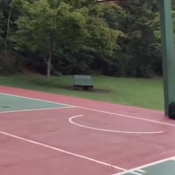 Soccer and Basketball, Perfect Pitch!