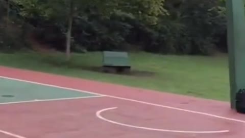 Soccer and Basketball, Perfect Pitch!