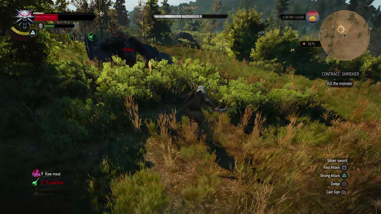 The Witcher 3 - Shrieker