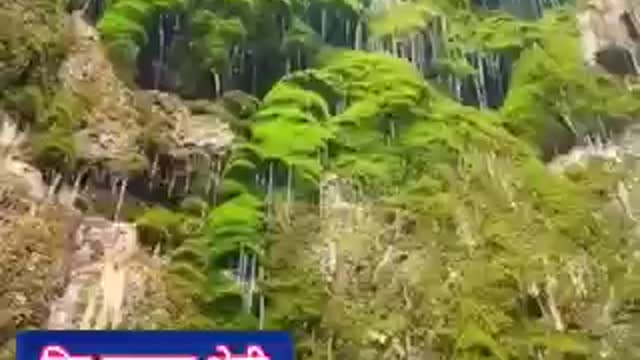 lauharai bata nepali song