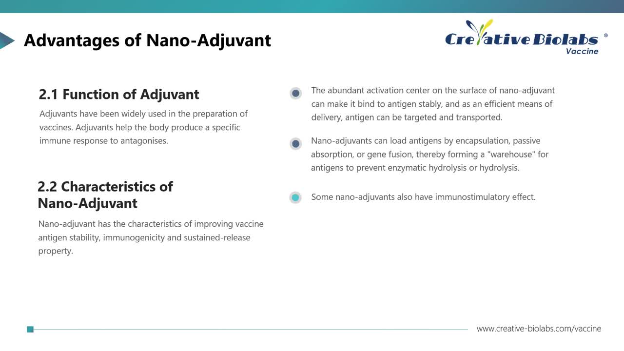 Nano Adjuvant