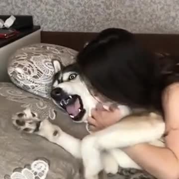 I don't want kisses!