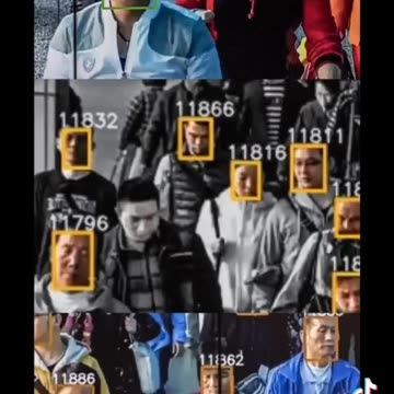 What 15 Minute Cities Look Like