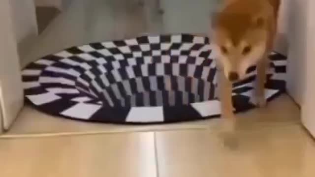 New per viral video