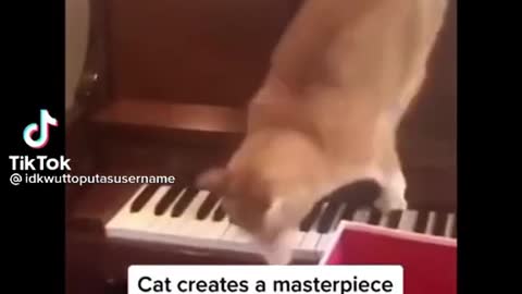 Cat Creates A Masterpiece