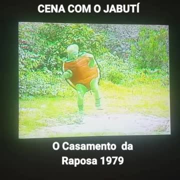 O Jabutí SÍTIO DO PICAPAU AMARELO 1979 O Casamento da Raposa no VIVA